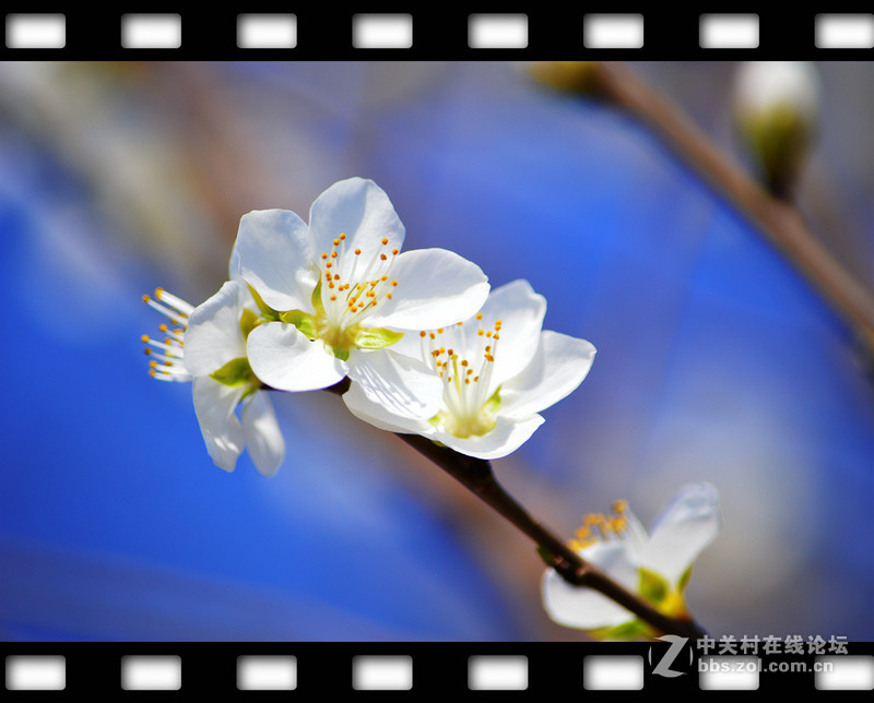 春暖花开~光影篇