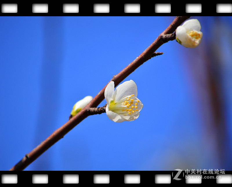 春暖花开~光影篇