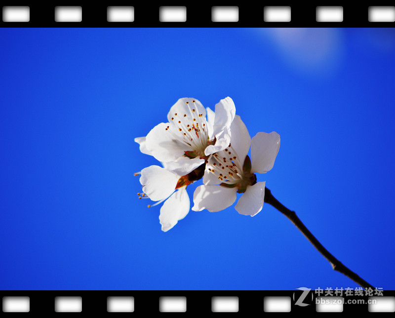 春暖花开~光影篇