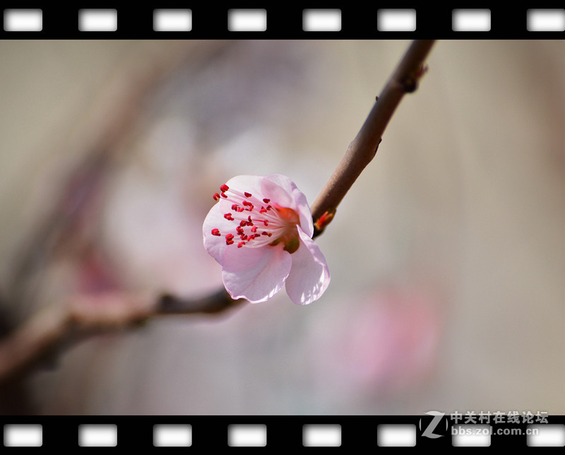 春暖花开~光影篇