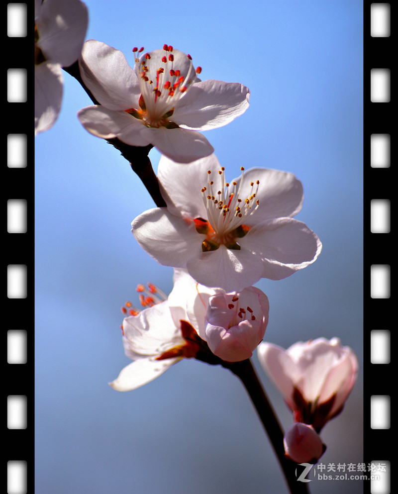 春暖花开~光影篇