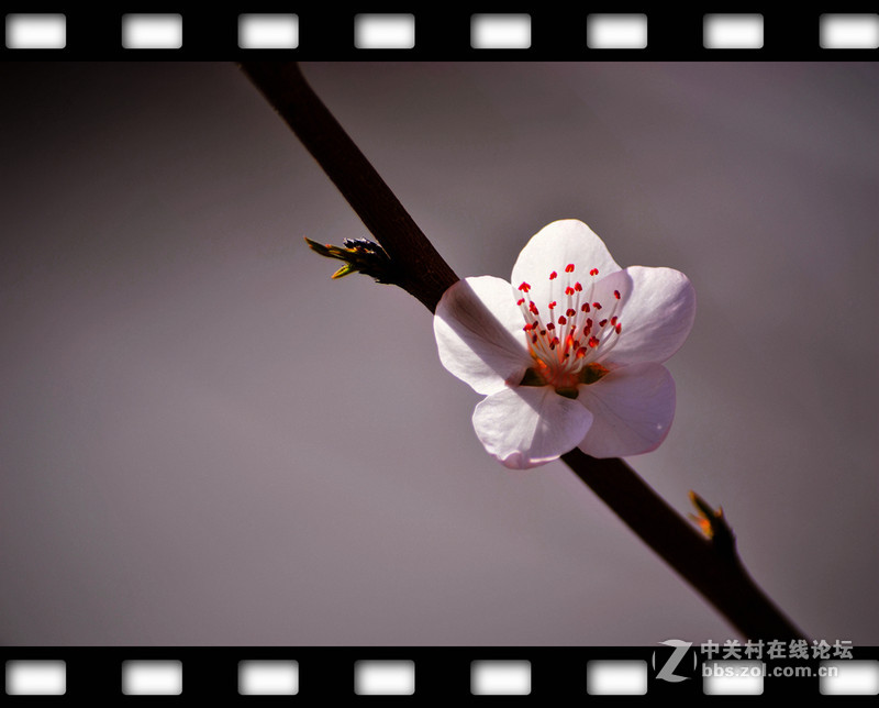 春暖花开~光影篇