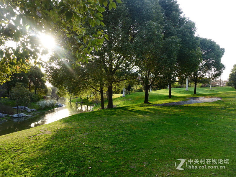 索尼黑卡的色彩