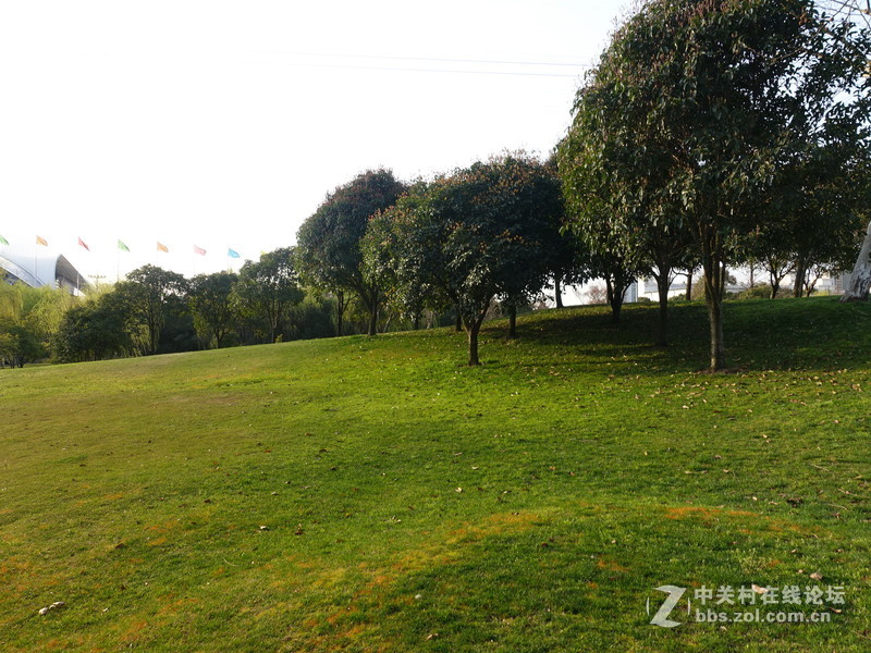 索尼黑卡的色彩