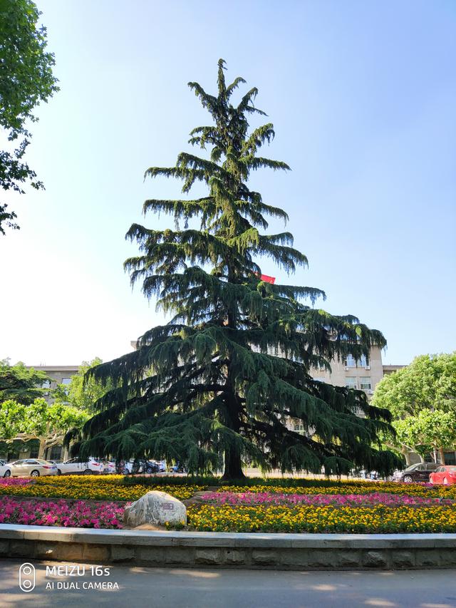 魅族16s十日谈：一部你用了就很难回去的工艺品