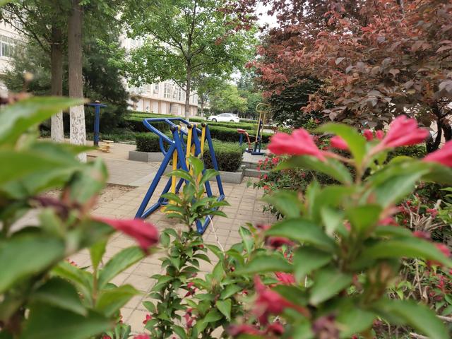 魅族16s十日谈：一部你用了就很难回去的工艺品