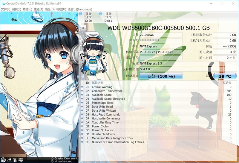 低价也有好盘之WD Blue SN500 NVMe SSD体验及对比测试