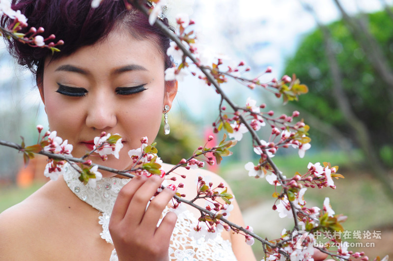 婚礼一角 女司仪的婚礼