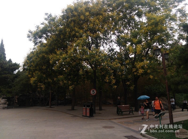 #至简天成 创异不凡# 带着原点去踏青