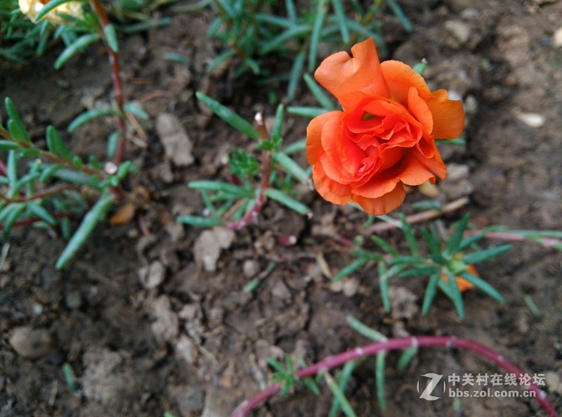 #至简天成 创异不凡# 带着原点去踏青