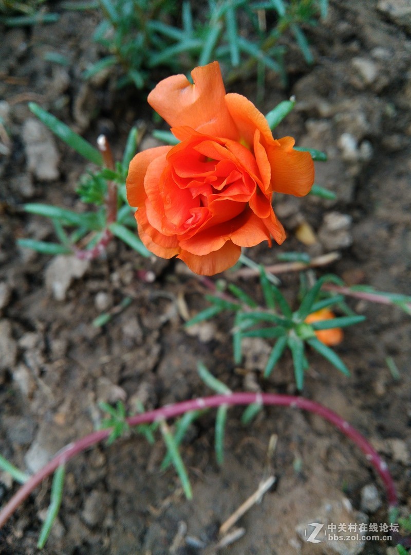 #至简天成 创异不凡# 带着原点去踏青