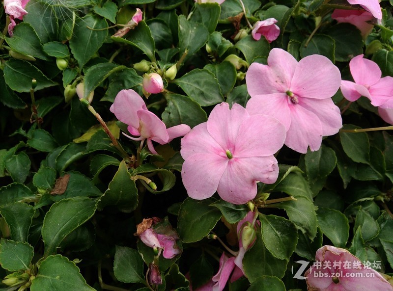 #至简天成 创异不凡# 带着原点去踏青