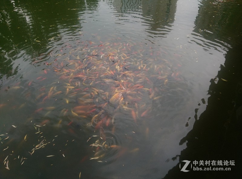 #至简天成 创异不凡# 带着原点去踏青