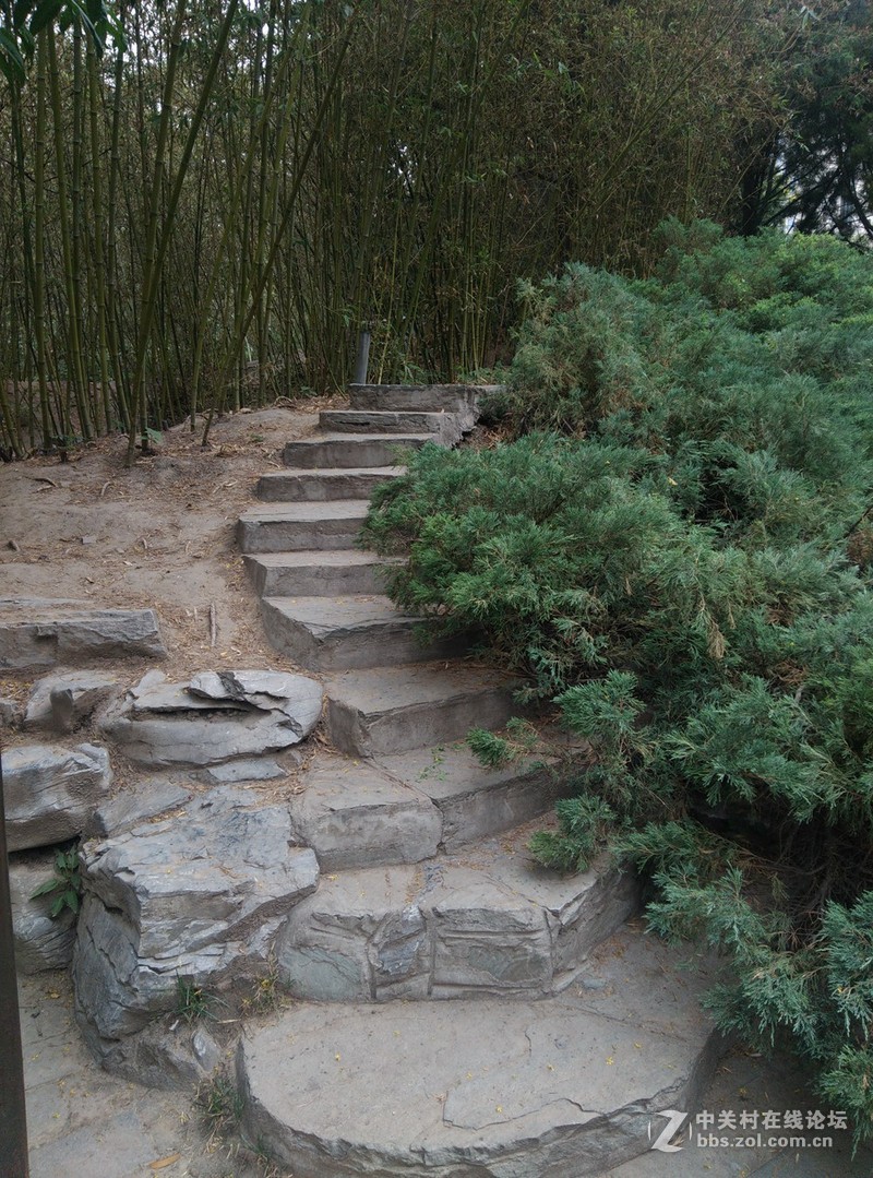 #至简天成 创异不凡# 带着原点去踏青