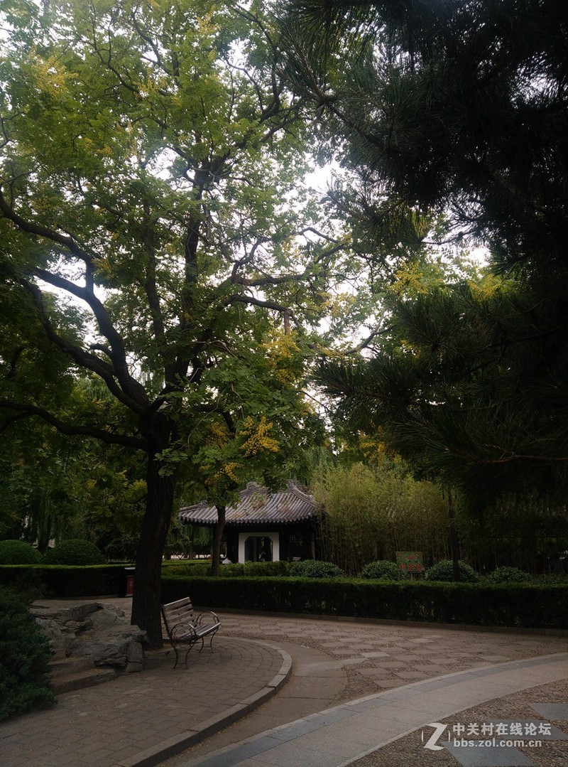 #至简天成 创异不凡# 带着原点去踏青