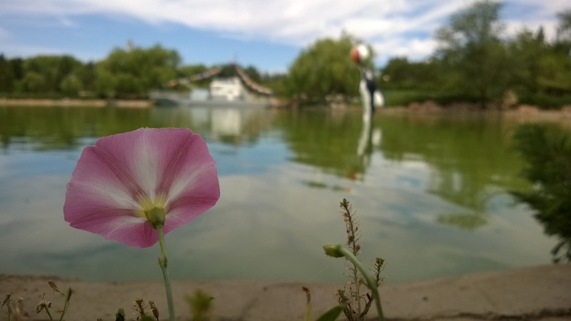 《这里没有雾霾——包头市》  -----诺基亚920