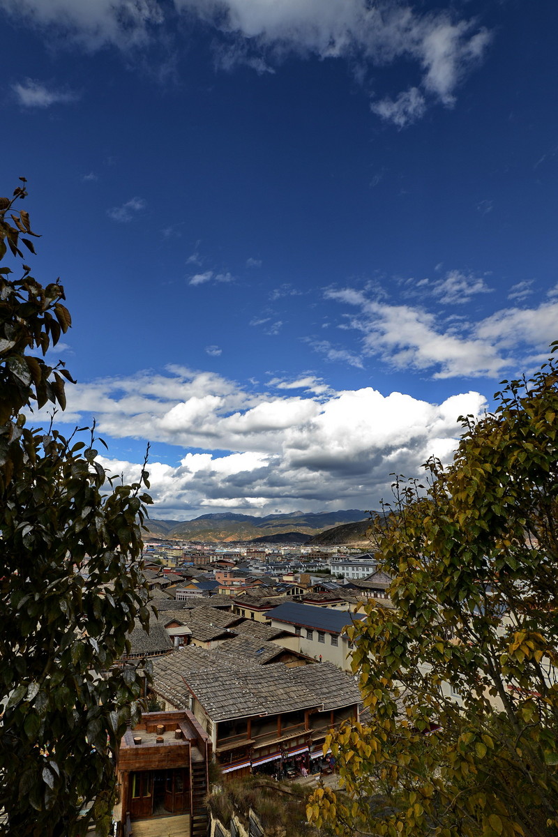 威摄（三阳）AE 14 2.8 光线较好时拍片