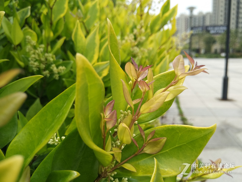 小米note顶配版测评：到底比普通版强多少？！