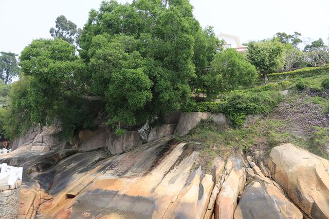 趁着人少，去鼓浪屿逍遥了