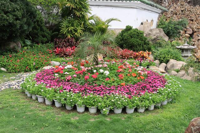 趁着人少，去鼓浪屿逍遥了