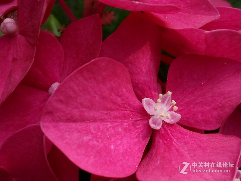 #全金属闪拍利器#+更高的可玩性- OPPO R7拍照体验