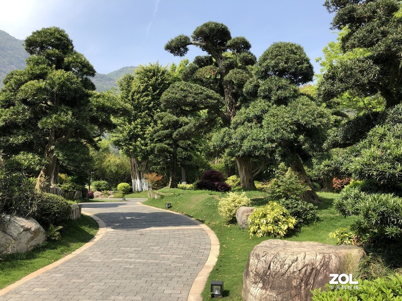 漂亮是不用形容的