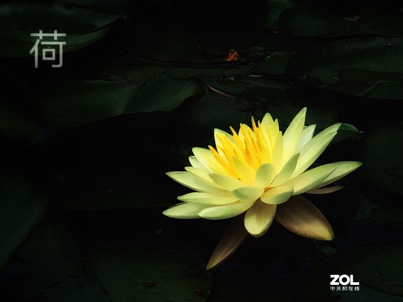 漂亮是不用形容的