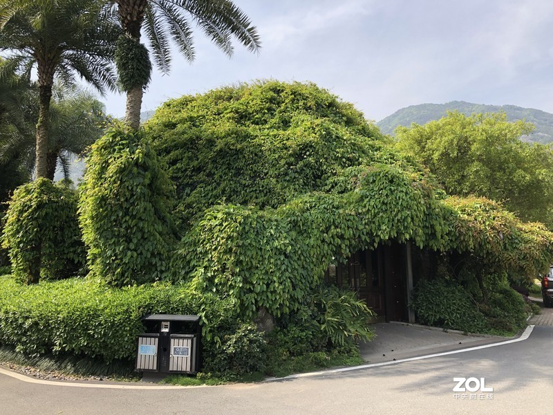 漂亮是不用形容的