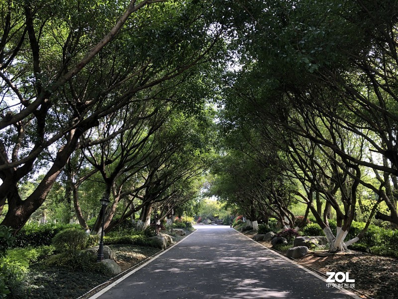 漂亮是不用形容的