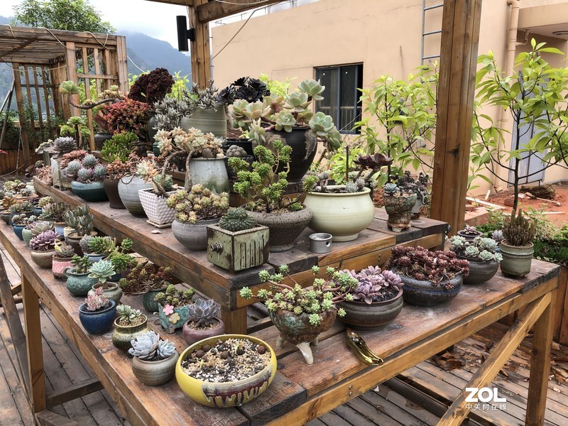 漂亮是不用形容的