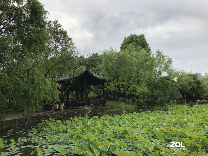 漂亮是不用形容的