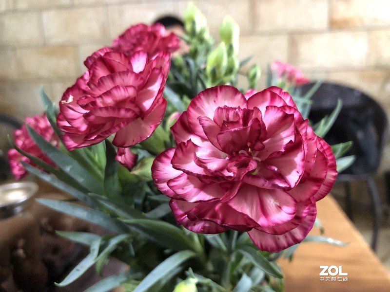 漂亮是不用形容的