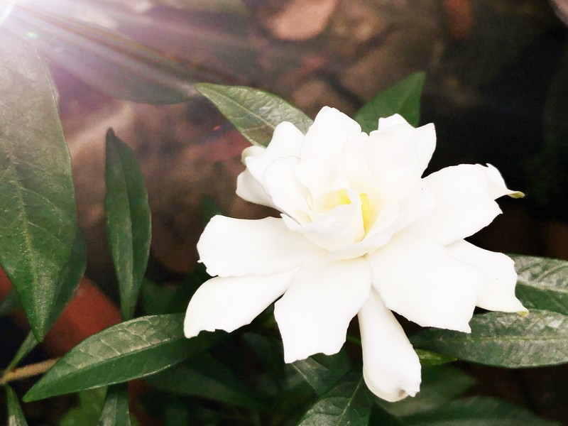 漂亮是不用形容的