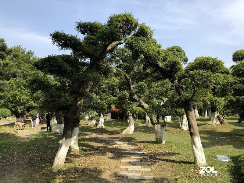 漂亮是不用形容的