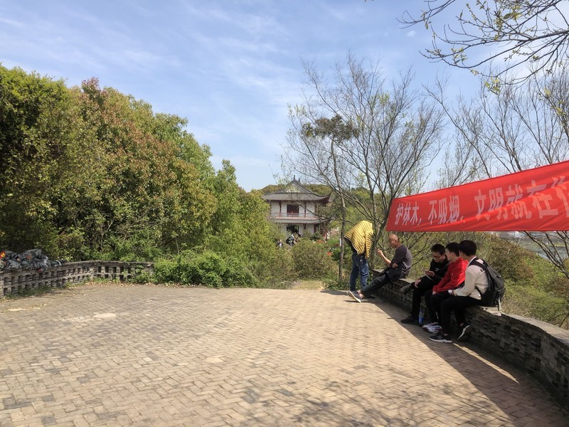 iPhonex日常 拍照样张