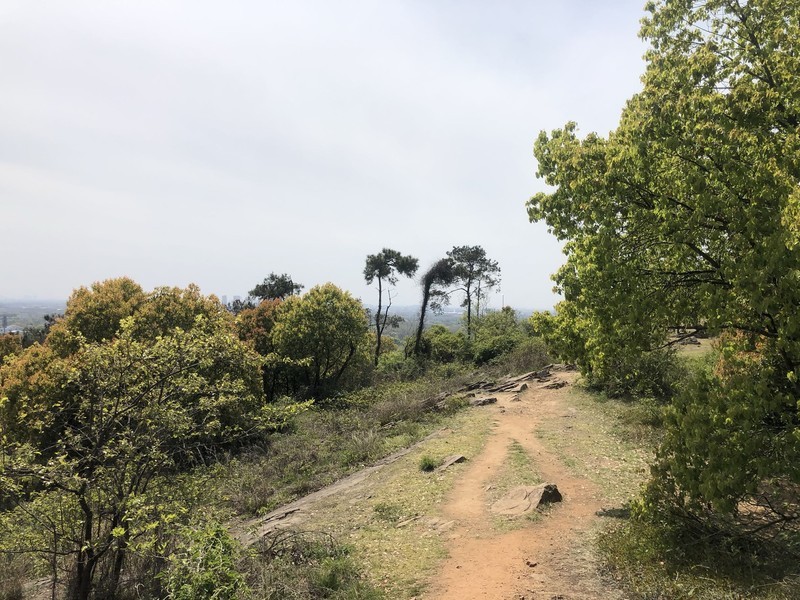 iPhonex日常 拍照样张