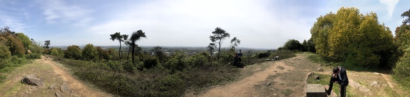 iPhonex日常 拍照样张