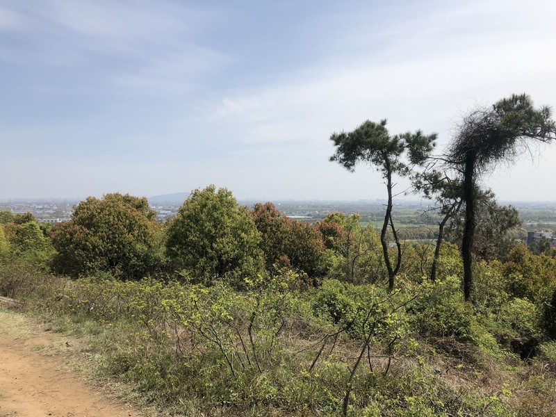 iPhonex日常 拍照样张