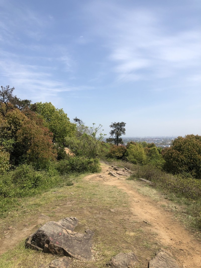 iPhonex日常 拍照样张