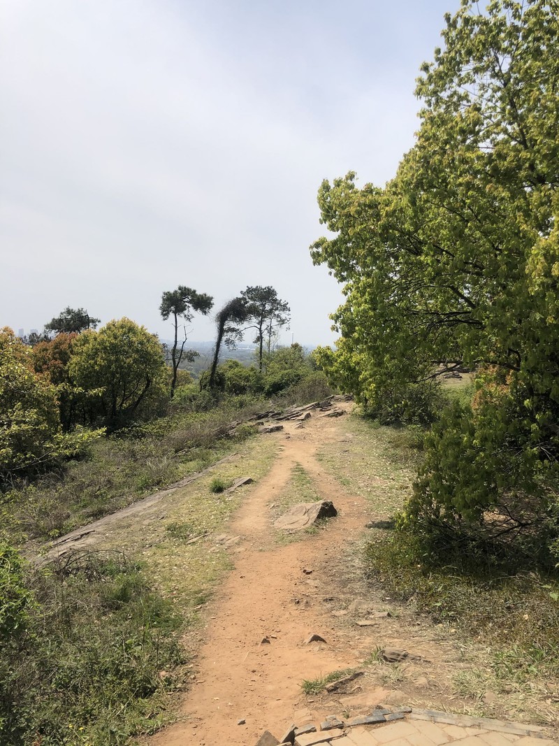 iPhonex日常 拍照样张