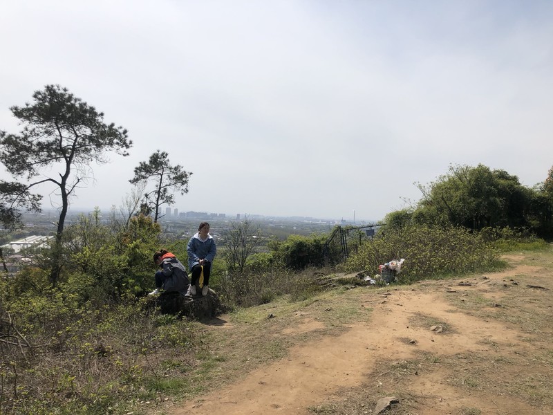 iPhonex日常 拍照样张