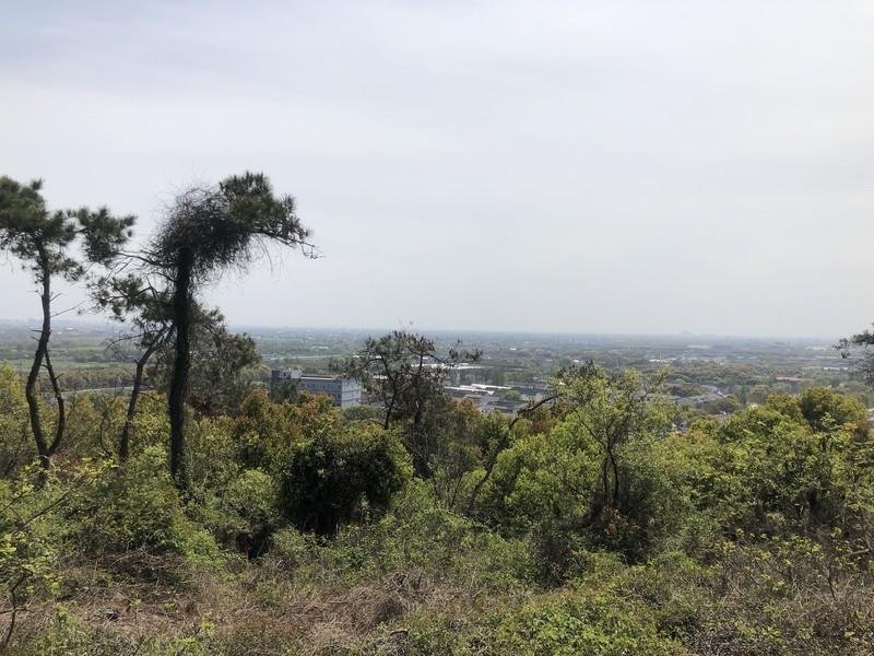 iPhonex日常 拍照样张