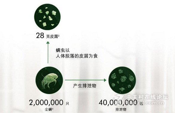 出门旅游必备物品清单——除螨神器！