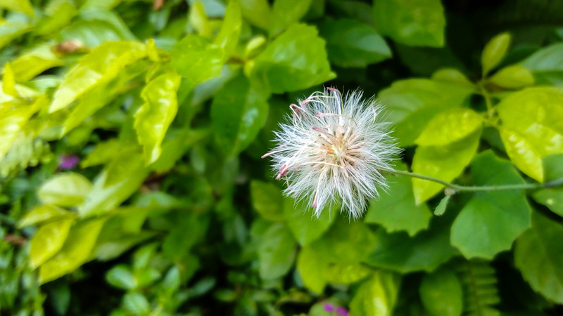 #檬懂青春，有声有色！#联想乐檬K3 NOTE拍照体验篇