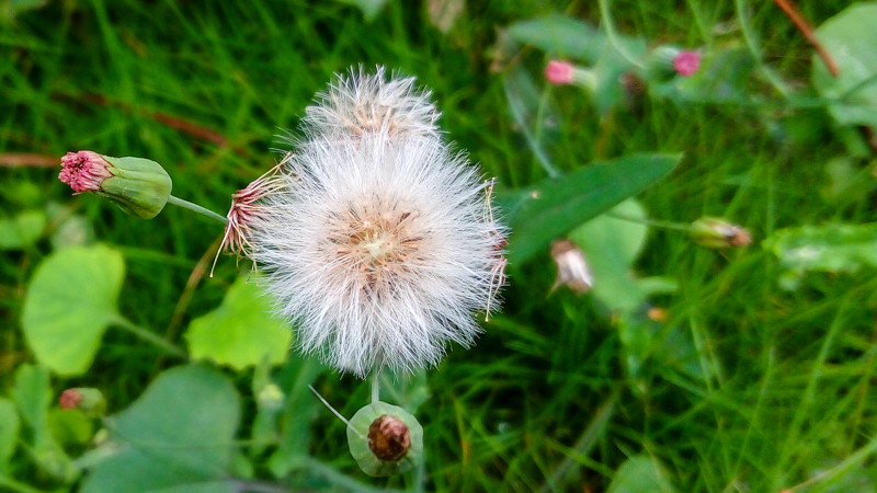 #檬懂青春，有声有色！#联想乐檬K3 NOTE拍照体验篇