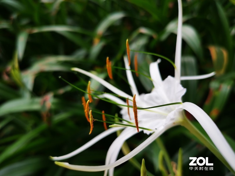 这时节，总有花开