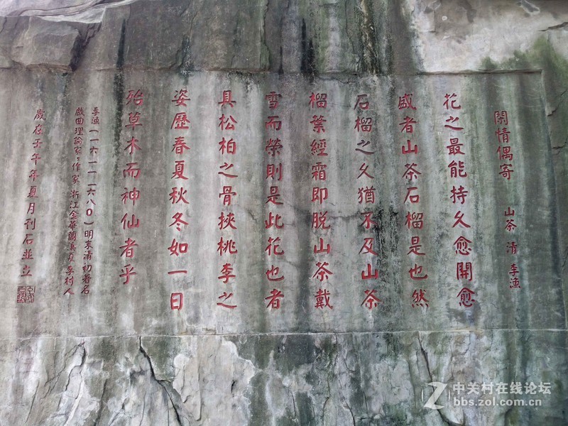 #乐无止镜X5Pro，最美的春季出行# 中国茶花文化园/浙中乐园/万达广场掠影