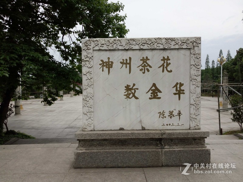 #乐无止镜X5Pro，最美的春季出行# 中国茶花文化园/浙中乐园/万达广场掠影