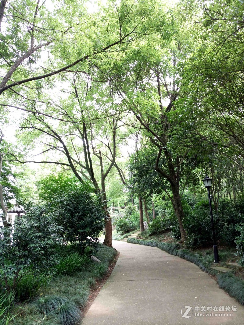 #乐无止镜X5Pro，最美的春季出行# 中国茶花文化园/浙中乐园/万达广场掠影