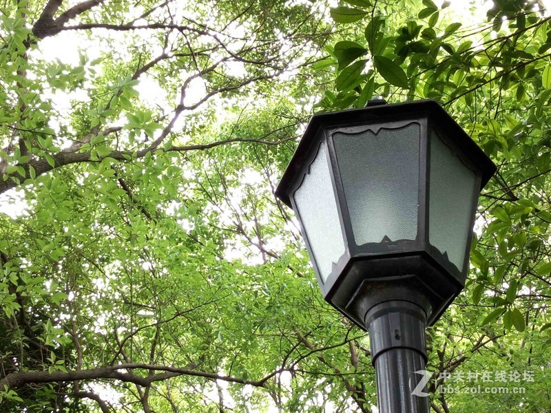 #乐无止镜X5Pro，最美的春季出行# 中国茶花文化园/浙中乐园/万达广场掠影